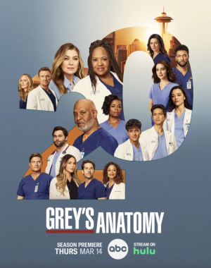 Grey's Anatomy - Seizoen 20