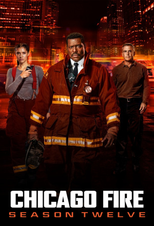 Chicago Fire - Seizoen 12