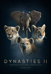 Dynasties
