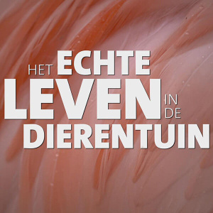Echte Leven in de Dierentuin, Het - Seizoen 5