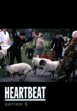 Heartbeat - Seizoen 6