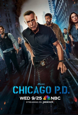 Chicago P.D. - Seizoen 12