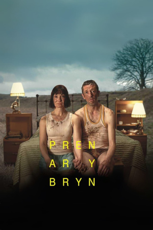 Pren ar y Bryn - Seizoen 1