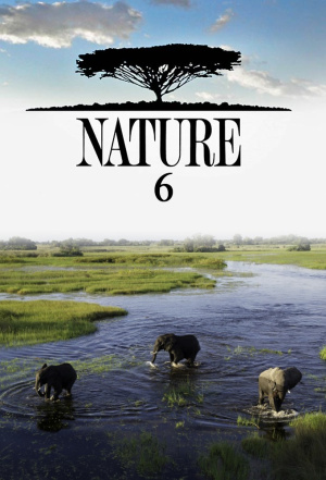 Nature - Seizoen 6