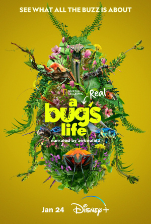 Real Bug's Life, A - Seizoen 1