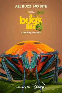 A Real Bug's Life