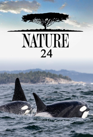 Nature - Seizoen 24