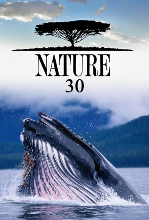 Nature - Seizoen 30