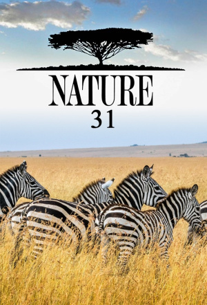 Nature - Seizoen 31