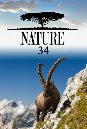Nature - Seizoen 34