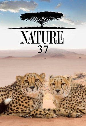 Nature - Seizoen 37