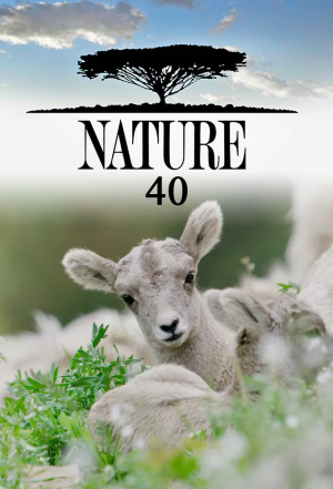 Nature - Seizoen 40