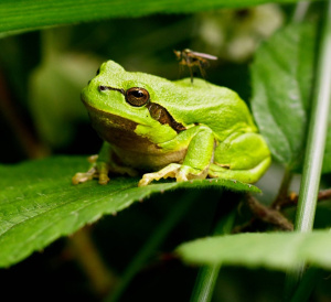 Wildernis onder Water - Seizoen 3
