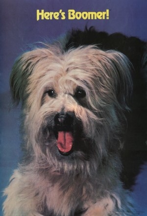 Here's Boomer - Seizoen 2