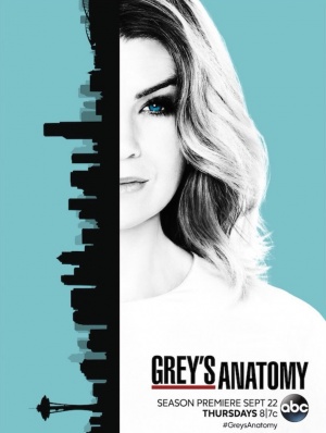 Grey's Anatomy - Seizoen 13