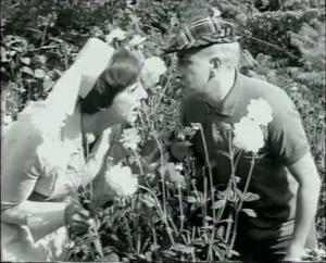 Ja Zuster, Nee Zuster - Seizoen 1