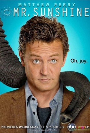 Mr. Sunshine - Seizoen 1