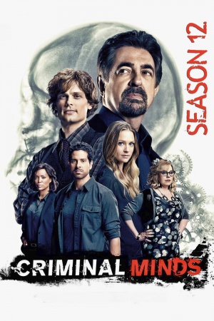 Criminal Minds - Seizoen 12