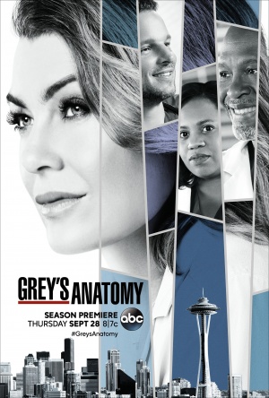 Grey's Anatomy - Seizoen 14