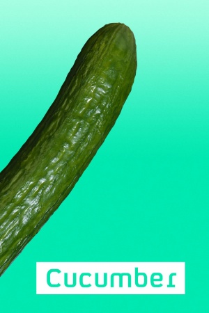 Cucumber - Seizoen 1