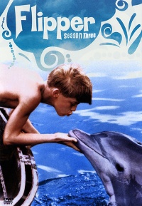 Flipper