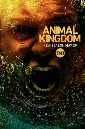 Animal Kingdom - Seizoen 3