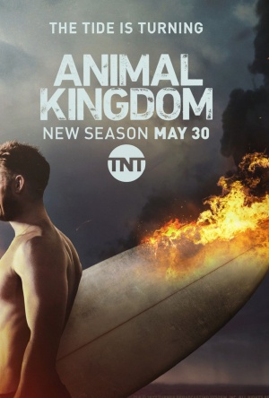 Animal Kingdom - Seizoen 2