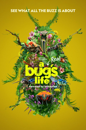 Real Bug's Life, A