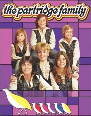 Partridge Family, The