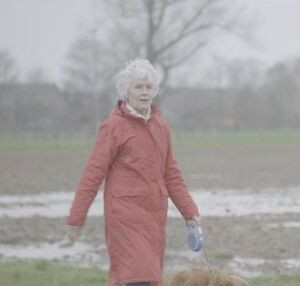 Appels en Sinaasappels, de Aantrekkingskracht van de Israëlische Kibboets