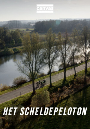 Scheldepeloton, Het