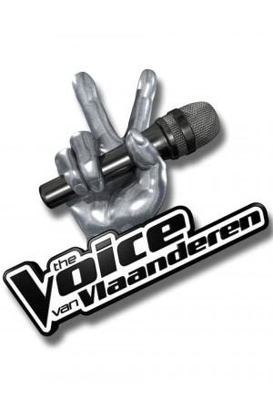 Voice van Vlaanderen, The
