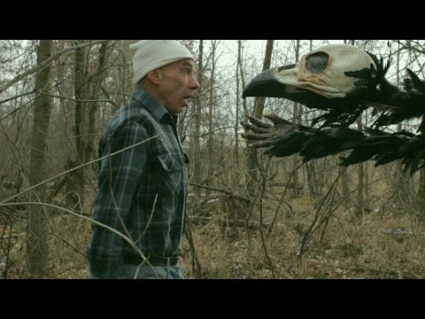 trailer image
