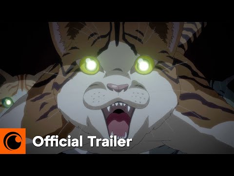 show trailer