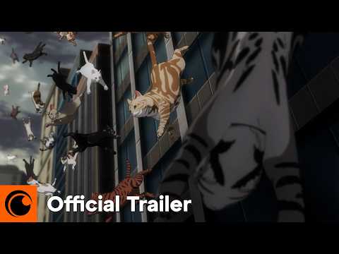 show trailer