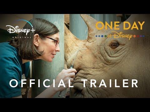 One Day at Disney | Official Trailer | Disney+ | Streaming December 3